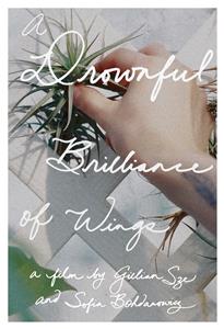 A Drownful Brilliance of Wings (2016) watch online HD