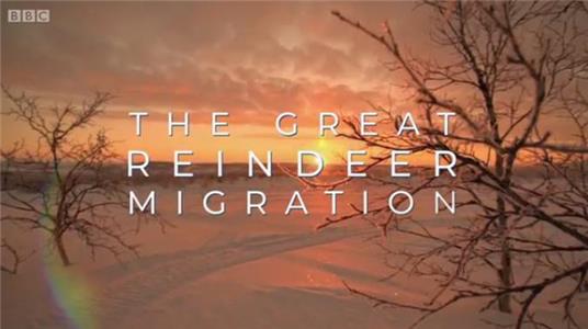 All Aboard! The Great Reindeer Migration (2018) watch online HD