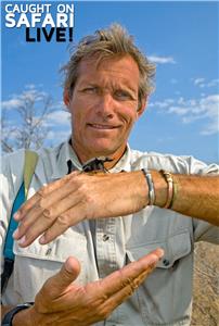 Caught on Safari: Live!  watch online HD