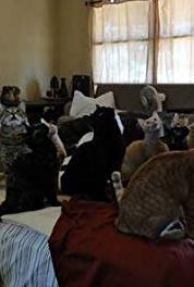 Confessions: Animal Hoarding Robin, Jack, and Flossie Revisited (2010– ) watch online HD