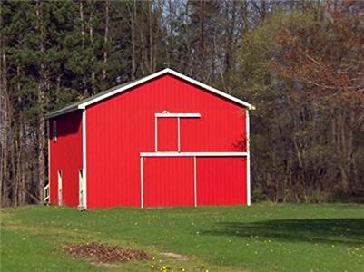House Hunters Young Couple Looks for a Family Farm in Rockford, Michigan (1999– ) watch online HD