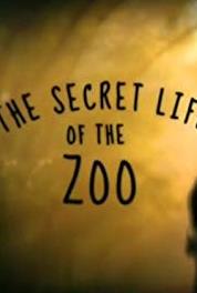 The Secret Life of the Zoo Episode #1.5 (2016– ) watch online HD