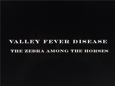 The Zebra Among the Horses (2013) watch online HD