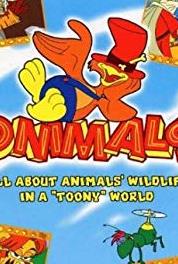 Toonimals The Kangaroo (1981– ) watch online HD