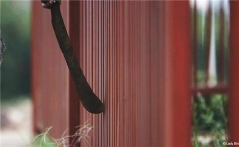 Docs interdits 7 jours à Kigali, la semaine où le Rwanda a basculé (2011– ) watch online HD