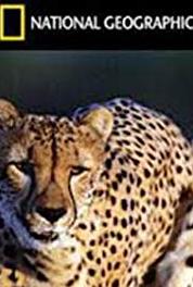 Expedition Journal Deep Focus (1999– ) watch online HD