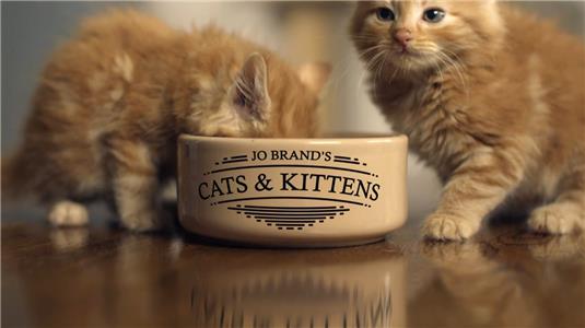 Jo Brand's Cats & Kittens  watch online HD