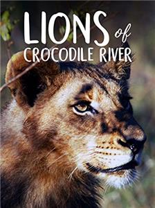Lions of Crocodile River (2007) watch online HD