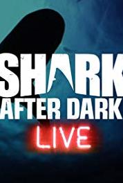 Shark After Dark Shark N' Loud (2013– ) watch online HD