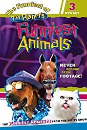 The Planet's Funniest Animals Episode dated 23 March 2007 (1999– ) watch online HD