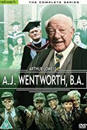 A.J. Wentworth, B.A. The Outsider (1982– ) watch online HD