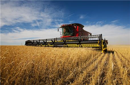 American Farmer Machinery on the Farm (2011– ) watch online HD