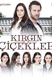 Kirgin Çiçekler Episode #1.43 (2015–2018) watch online HD