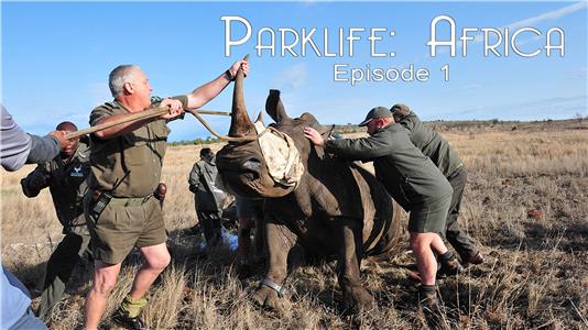 Parklife: Africa Animal Capture Course/Liwonde 1: Sable Capture (2000– ) watch online HD