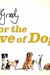 Paul O'Grady: For the Love of Dogs Episode #5.7 (2012–2018) watch online HD