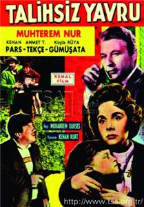 Talihsiz yavru (1960) watch online HD