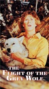 The Flight of the Grey Wolf (1976) watch online HD