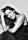 Alicia Coppola