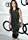 Amy Rosoff