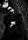 Anthony Raus