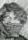Arline Pretty