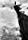 Arnold Fanck