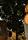 Barbara Cerar