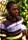 Bobb'e J. Thompson
