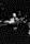 Count Basie