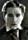 Cullen Landis