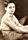David Durand