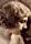 Dolly Larkin