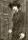 Dorothy Gwynne