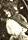 Eva Prout