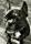 Gary the Dog