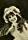 Helen Marten