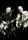Hot Tuna