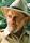 Jacque Fresco