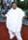 Jamal Mixon