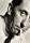 Jindrich Plachta