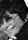 Joan Darling