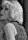 Joyce Jameson