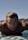 Laird Hamilton