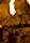 Lasse Valdal