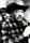 Lee Morgan