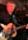 Matthew Nelson