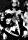 Mott the Hoople