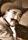 Pedro de Aguillón