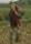 Phil Harding