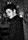 Pierre Niney